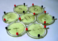 Демонстрационный комплект «Силовые линии электрического поля разных систем зарядов» - fgospostavki.ru - Ростов-на-Дону