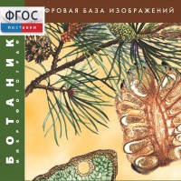 Ботаника. Микрофотографии. (Цифровая база изображений) - fgospostavki.ru - Ростов-на-Дону