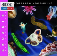 Биология. Микрофотографии. (Цифровая база изображений) - fgospostavki.ru - Ростов-на-Дону