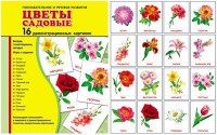 Демонстрационные карточки "Цветы садовые" - fgospostavki.ru - Ростов-на-Дону