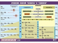 Таблица демонстрационная "Сравнение понятий изомер и гомолог" (винил 70x100) - fgospostavki.ru - Ростов-на-Дону