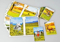 Настольно-печатная игра "Вокруг света" - fgospostavki.ru - Ростов-на-Дону