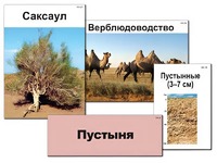 Модель-аппликация "Природные зоны России" (ламинированная) - fgospostavki.ru - Ростов-на-Дону