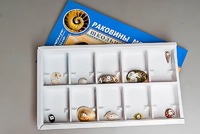 Коллекция "Раковины моллюсков" - fgospostavki.ru - Ростов-на-Дону