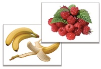 Дидактическое пособие "Фрукты, ягоды, орехи" (24 карточки) - fgospostavki.ru - Ростов-на-Дону