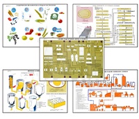 Плакаты ПРОФТЕХ "Сырье и материалы хлебопекарного производства" (20 пл, винил, 70х100) - fgospostavki.ru - Ростов-на-Дону