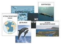 Модель-аппликация "Океаны. Знакомство" (ламинированная) - fgospostavki.ru - Ростов-на-Дону