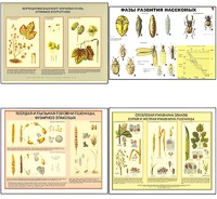 Плакаты ПРОФТЕХ "Вредители и болезни с/х культур и меры борьбы с ними" (11 пл, винил, 70х100) - fgospostavki.ru - Ростов-на-Дону