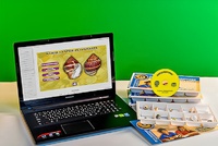 Коллекция натурально-интерактивная "Раковины моллюсков" - fgospostavki.ru - Ростов-на-Дону