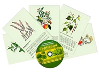 Интерактивный наглядный комплекс "Гербарий "Для начальной школы" - fgospostavki.ru - Ростов-на-Дону