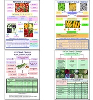 Плакаты ПРОФТЕХ "Классификация овощей" (11 пл, винил, 70х100) - fgospostavki.ru - Ростов-на-Дону