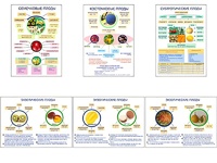 Плакаты ПРОФТЕХ "Плоды" (6 пл, винил, 70х100) - fgospostavki.ru - Ростов-на-Дону