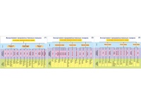 Плакаты ПРОФТЕХ "Ассортимент продовольственных товаров" (3 пл, винил, 70х100) - fgospostavki.ru - Ростов-на-Дону