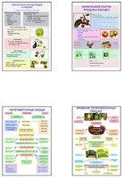 Плакаты ПРОФТЕХ "Классификация овощей и переработка" (8 пл, винил, 70х100) - fgospostavki.ru - Ростов-на-Дону