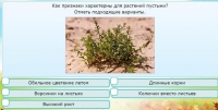 Интерактивные курсы. Окружающий мир 3 класс . Базовый. - fgospostavki.ru - Ростов-на-Дону