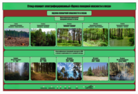 Стенд-планшет электрифицированный «Оценка пожарной опасности в лесах»  - fgospostavki.ru - Ростов-на-Дону