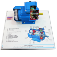 Стенд-планшет «Асинхронный двигатель с короткозамкнутым ротором» - fgospostavki.ru - Ростов-на-Дону