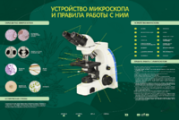 Электрифицированный стенд "Устройство микроскопа и правила работы c ним" - fgospostavki.ru - Ростов-на-Дону
