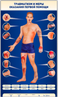 Электрифицированный стенд-тренажер "Травматизм и меры оказания первой помощи" - fgospostavki.ru - Ростов-на-Дону