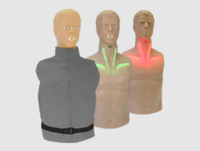 "Александр-03" тренажер-манекен взрослого пострадавшего для отработки приемов сердечно-легочной реанимации (голова, торс) со светозвуковым индикатором - fgospostavki.ru - Ростов-на-Дону