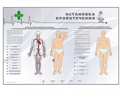 Электрифицированный стенд "Остановка кровотечения" - fgospostavki.ru - Ростов-на-Дону