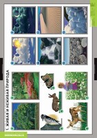 Комплект таблиц. Окружающий мир. Летние и осенние изменения в природе. - fgospostavki.ru - Ростов-на-Дону