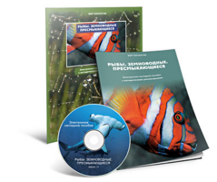 Электронное наглядное пособие «Рыбы. Земноводные. Пресмыкающиеся» - fgospostavki.ru - Ростов-на-Дону