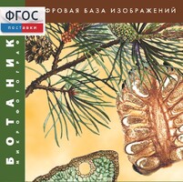 Ботаника. Микрофотографии. (Цифровая база изображений) - fgospostavki.ru - Ростов-на-Дону
