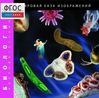 Биология. Микрофотографии. (Цифровая база изображений) - fgospostavki.ru - Ростов-на-Дону