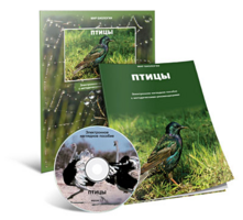 Электронное наглядное пособие «Птицы» - fgospostavki.ru - Ростов-на-Дону
