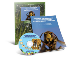 Электронное наглядное пособие «Уровни организации живой природы. Практическая биология» - fgospostavki.ru - Ростов-на-Дону