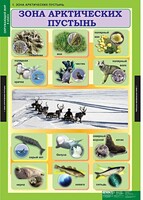 Комплект таблиц. Окружающий мир 4 класс. - fgospostavki.ru - Ростов-на-Дону