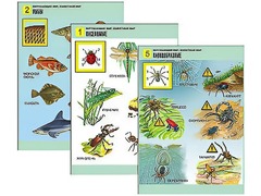 Комплект таблиц "Окружающий мир. Животный мир" (8 таблиц, А1, ламинированные) - fgospostavki.ru - Ростов-на-Дону