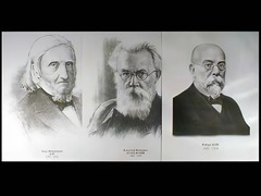 Портреты биологов (26 штук, формат А3) - fgospostavki.ru - Ростов-на-Дону