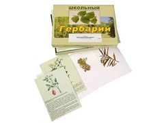 Гербарий "Для начальной школы" (30 видов, с иллюстрациями) - fgospostavki.ru - Ростов-на-Дону