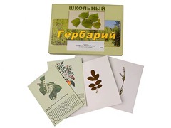 Гербарий "Деревья и кустарники" (22 вида, с иллюстрациями) - fgospostavki.ru - Ростов-на-Дону