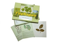 Гербарий "Дикорастущие растения" (30 видов, с иллюстрациями) - fgospostavki.ru - Ростов-на-Дону