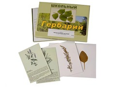 Гербарий "Лекарственные растения" (22 вида с иллюстрациями) - fgospostavki.ru - Ростов-на-Дону