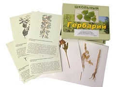 Гербарий "Систематика растений. Семейство Бобовые. Злаки" (раздаточный) - fgospostavki.ru - Ростов-на-Дону