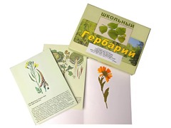Гербарий "Систематика растений. Семейство Пасленовые. Крестоцветные. Сложноцветные" (раздаточный) - fgospostavki.ru - Ростов-на-Дону