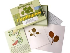 Гербарий "Систематика растений. Семейство Розоцветные" (раздаточный) - fgospostavki.ru - Ростов-на-Дону