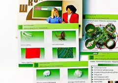 Коллекция "Шелк и продукты его переработки" (средняя школа) - fgospostavki.ru - Ростов-на-Дону