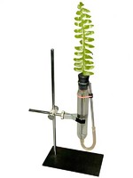 Прибор для демонстрации всасывания воды корнями - fgospostavki.ru - Ростов-на-Дону