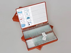 Комплект микропрепаратов "Ботаника 1" - fgospostavki.ru - Ростов-на-Дону