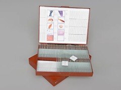 Комплект микропрепаратов "Общая биология" - fgospostavki.ru - Ростов-на-Дону