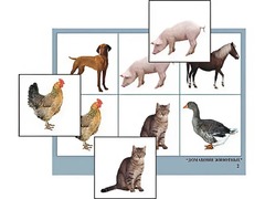 Логопедическое лото "Домашние животные" (4 планшета, 24 карточки, цветное, ламинированное) - fgospostavki.ru - Ростов-на-Дону