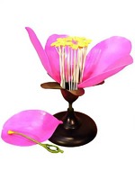 Модель цветка яблони - fgospostavki.ru - Ростов-на-Дону