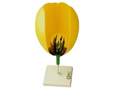 Модель цветка тюльпана - fgospostavki.ru - Ростов-на-Дону