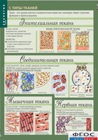 Комплект таблиц. Биология 8-9 класс. Человек. - fgospostavki.ru - Ростов-на-Дону