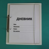 Дневник школьника (с полным набором карточек) - fgospostavki.ru - Ростов-на-Дону